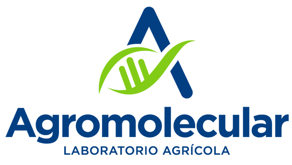 Logotipo, Header